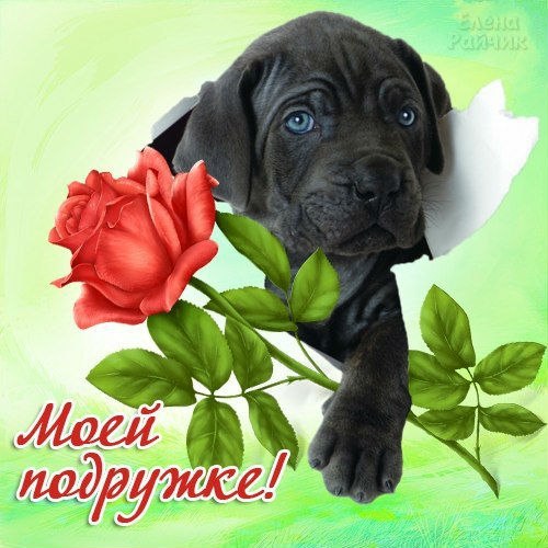 Для друзей