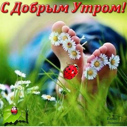 Доброе утро