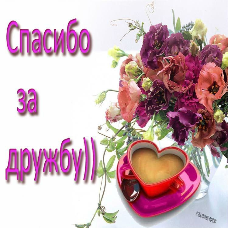 Для друзей