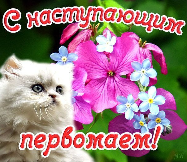 Праздник весны и труда (1 мая)