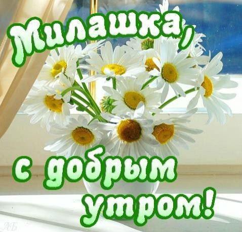 Доброе утро