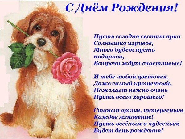 День рождения