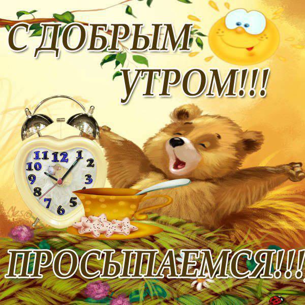 Доброе утро