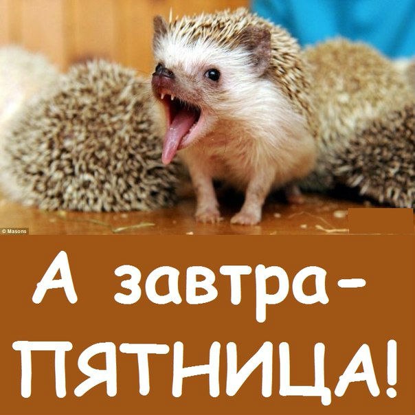 Четверг