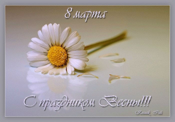 Международный женский день (8 марта)