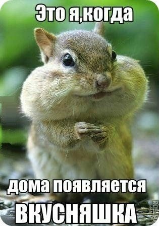 Приколы