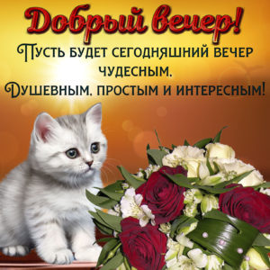 Добрый вечер
