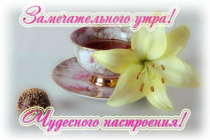Доброе утро