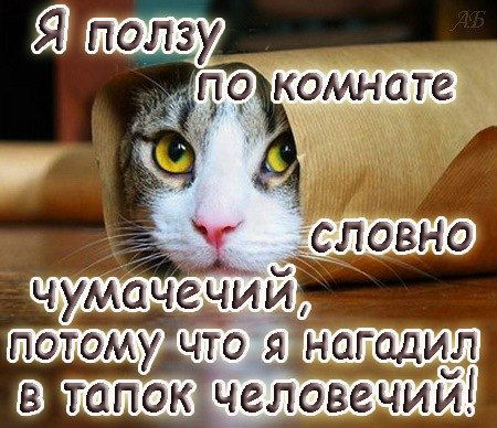 Приколы