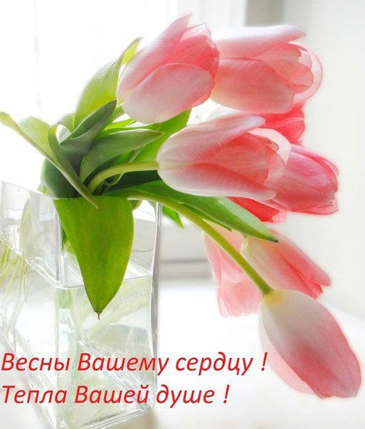 Открытка «Времена года» №4549