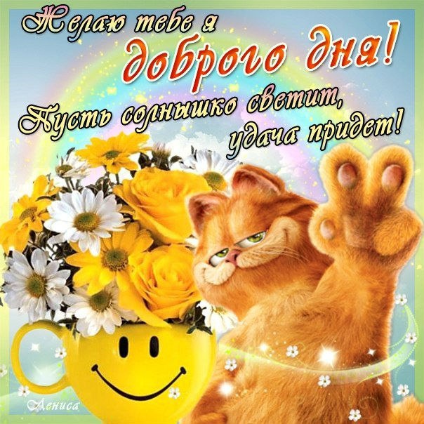 Доброе утро