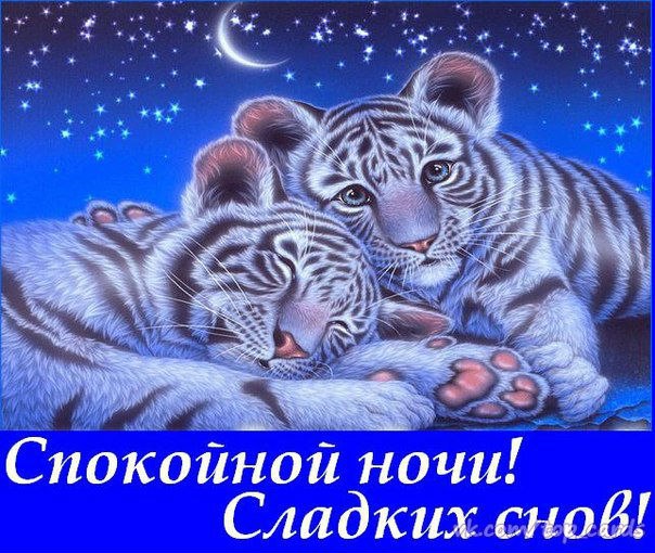 Спокойной ночи