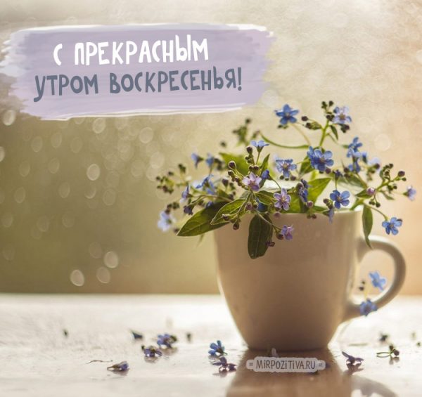 Открытка «Воскресенье» №5952