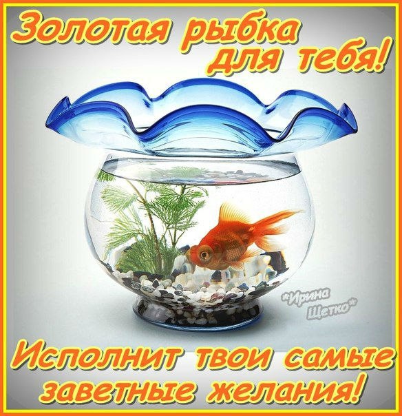 День рождения