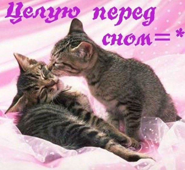 Спокойной ночи
