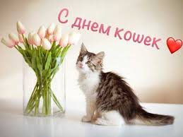 Открытка «День кошек» №6749