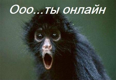 Открытка «Приколы» №2796