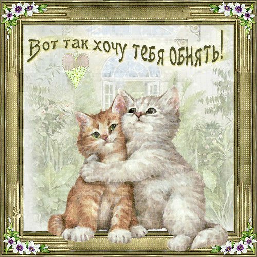 Любовь