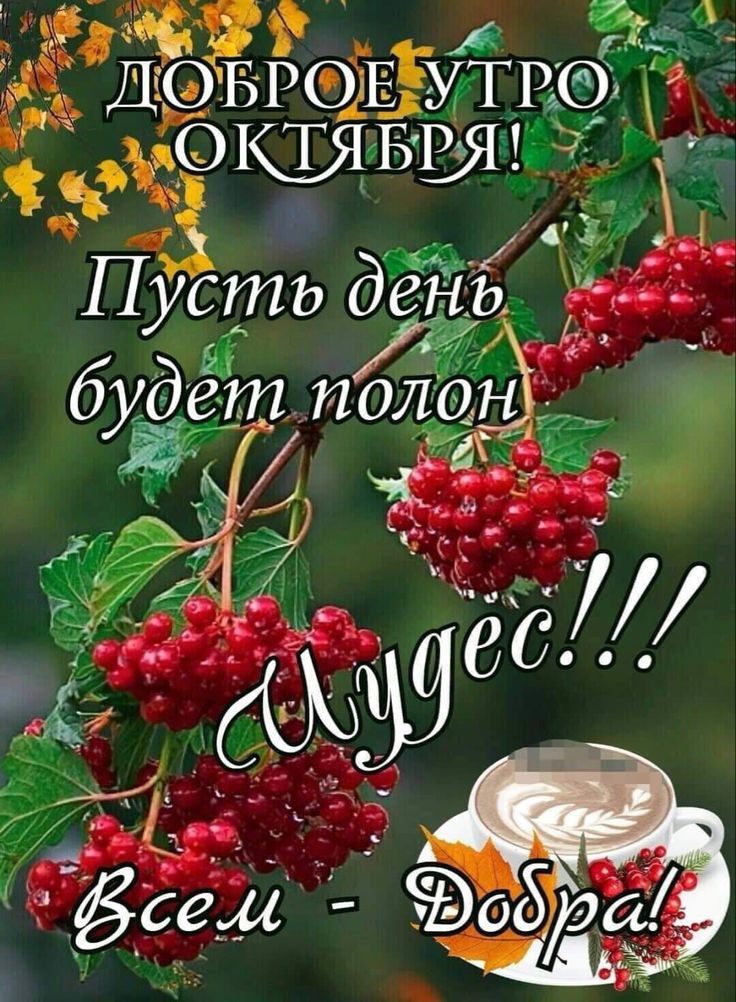 Октябрь