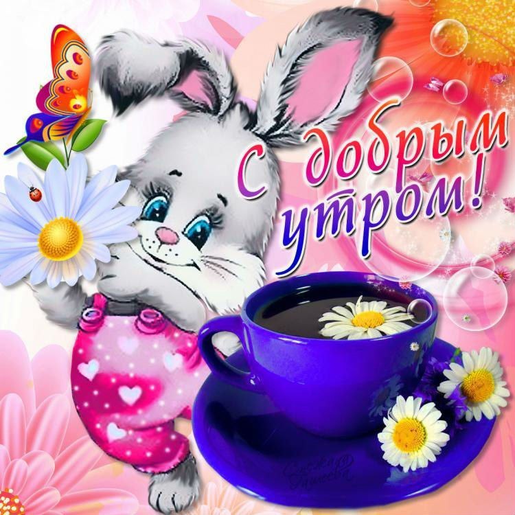Доброе утро
