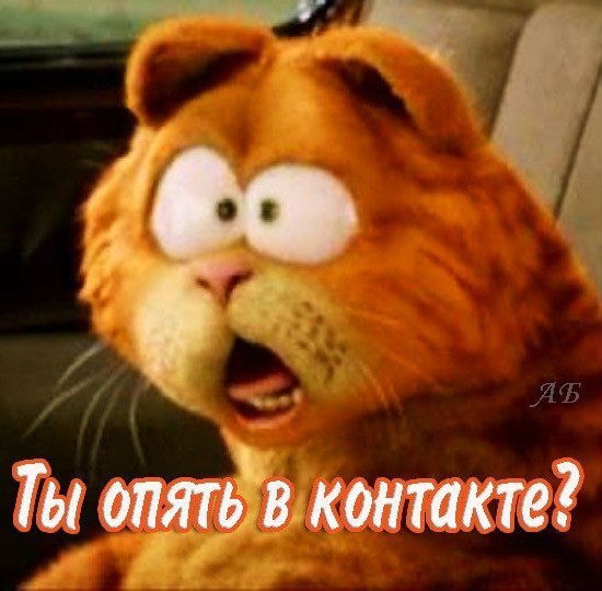 Открытка «Приколы» №2797