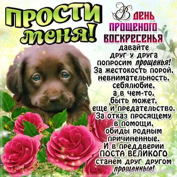 Открытка «Прощёное воскресенье» №6771