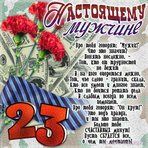 День защитника Отечества (23 февраля)