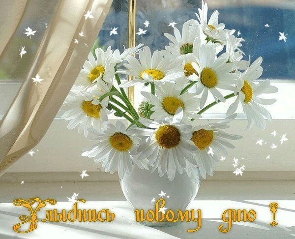 Доброе утро