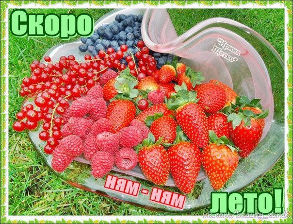 Открытка «Лето» №3399