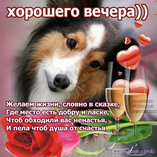 Добрый вечер