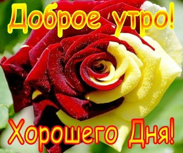 Доброе утро