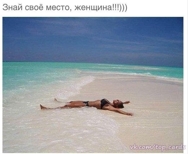 Приколы