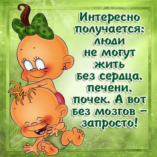 Приколы