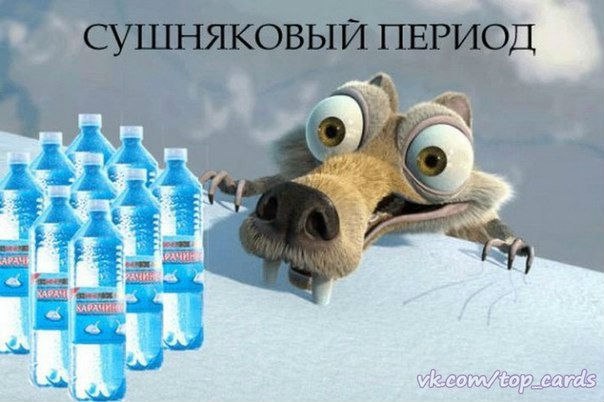 Приколы