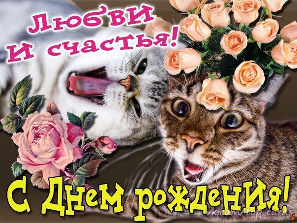 День рождения