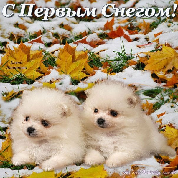 Зима