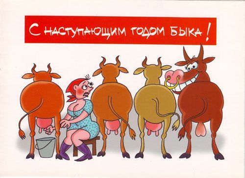 Открытка «Год быка» №7778