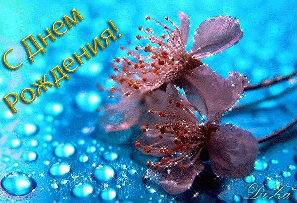День рождения