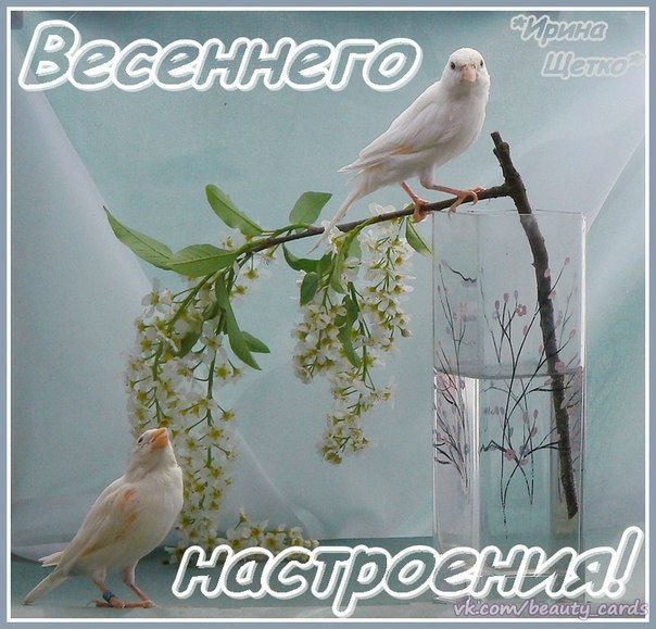 Открытка «Хорошего настроения» №2831