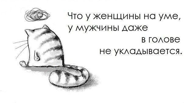 Приколы