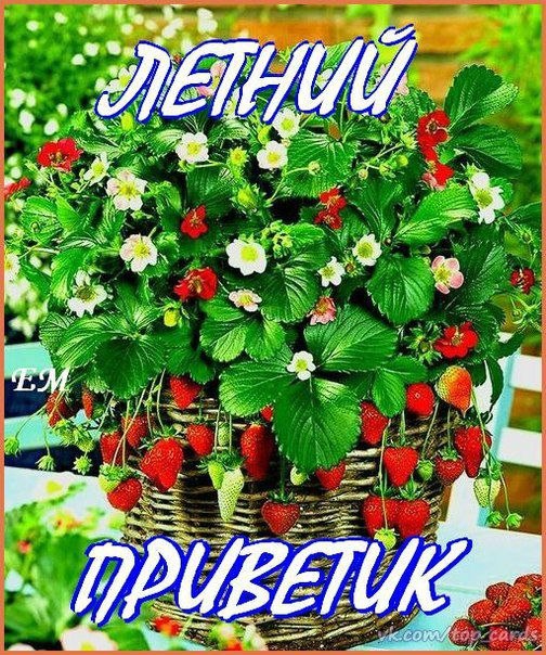 Лето