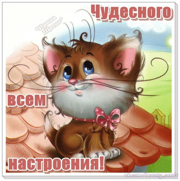 Для друзей