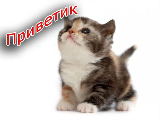 Привет