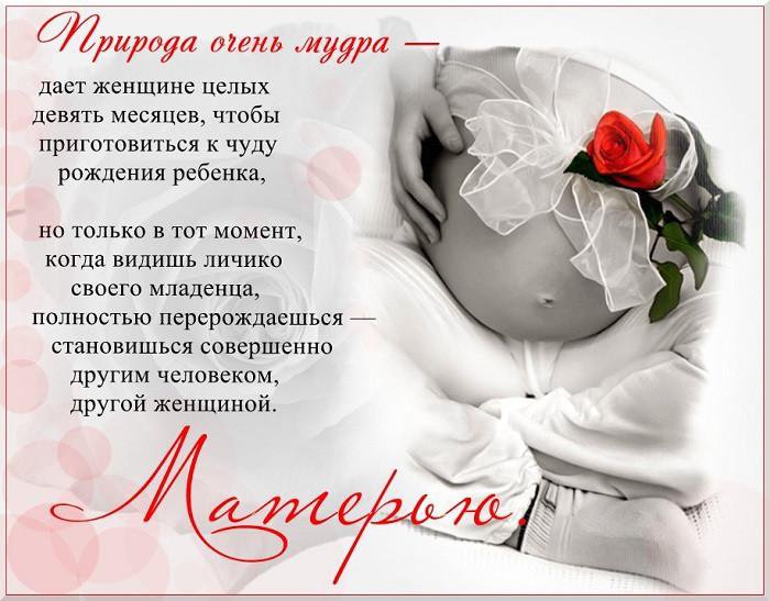 Открытка «День беременных» №8295