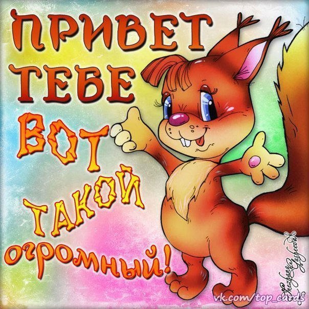 Привет