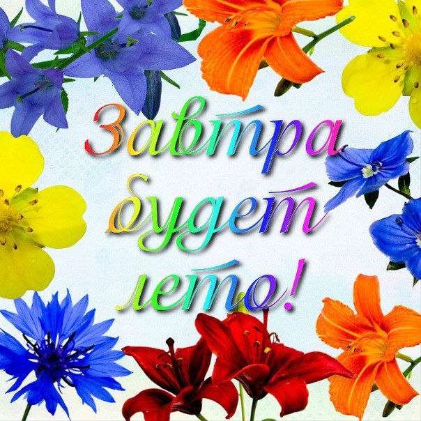 Открытка «Лето» №3405