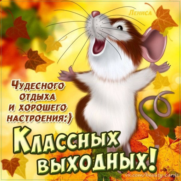 Открытка «Выходные» №1570