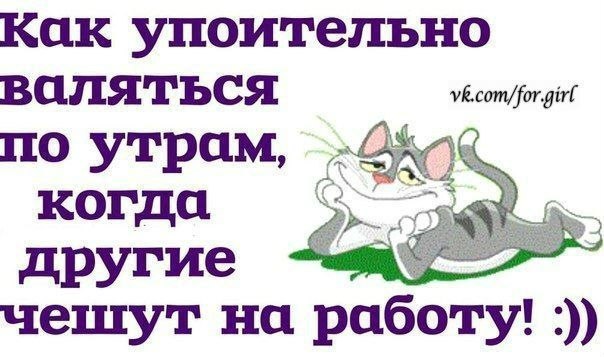 Приколы