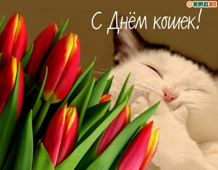 Открытка «День кошек» №6741