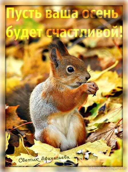 Осень
